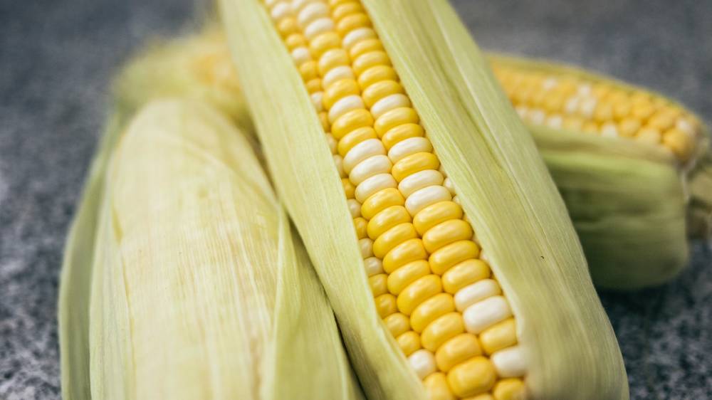 corns