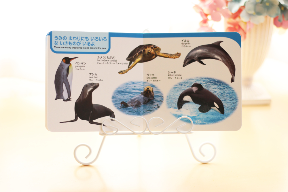 book of sea animals