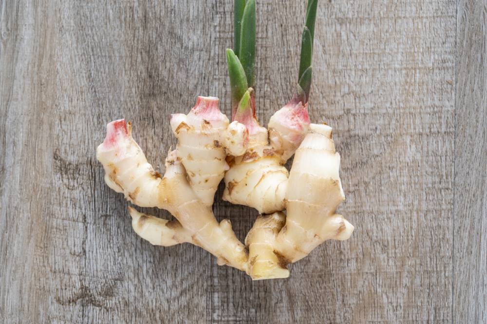 young ginger root