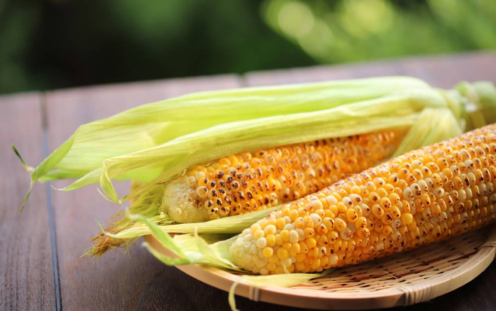 grilled corn